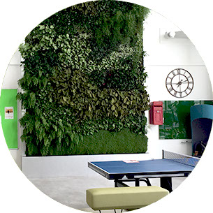 Living walls for offices and commercial buildings