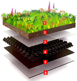 A Living Roof system explained